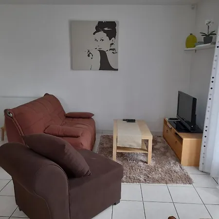 Maison Familiale Avec Jardin, Proche Dune Du Pyla Et Parcs, Ideale Pour Ensoleillees - Fr-1-319-362 *