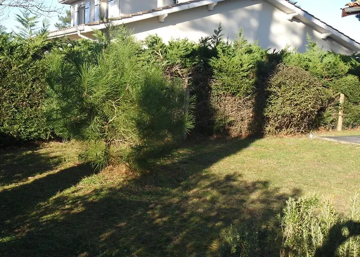 Maison Familiale Avec Jardin, Proche Dune Du Pyla Et Parcs, Ideale Pour Ensoleillees - Fr-1-319-362 Gujan-Mestras